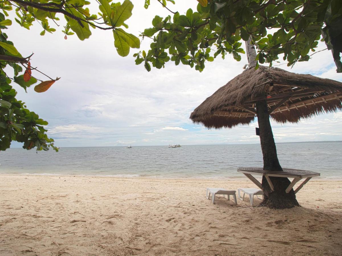 Oyo 853 Malapascua Beach And Dive Resort Εξωτερικό φωτογραφία